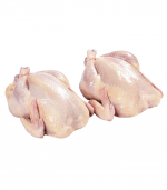 Poulets