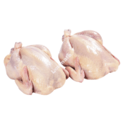 Poulets