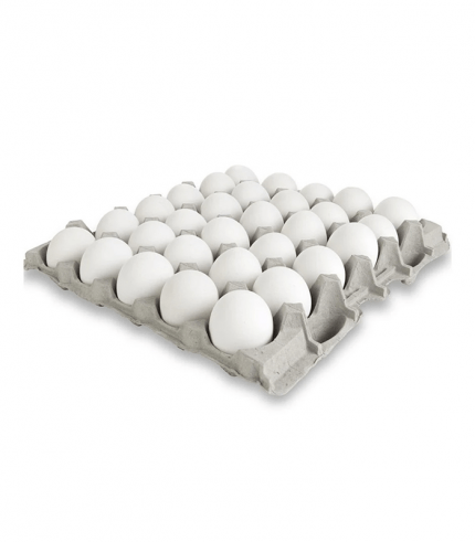 Oeuf